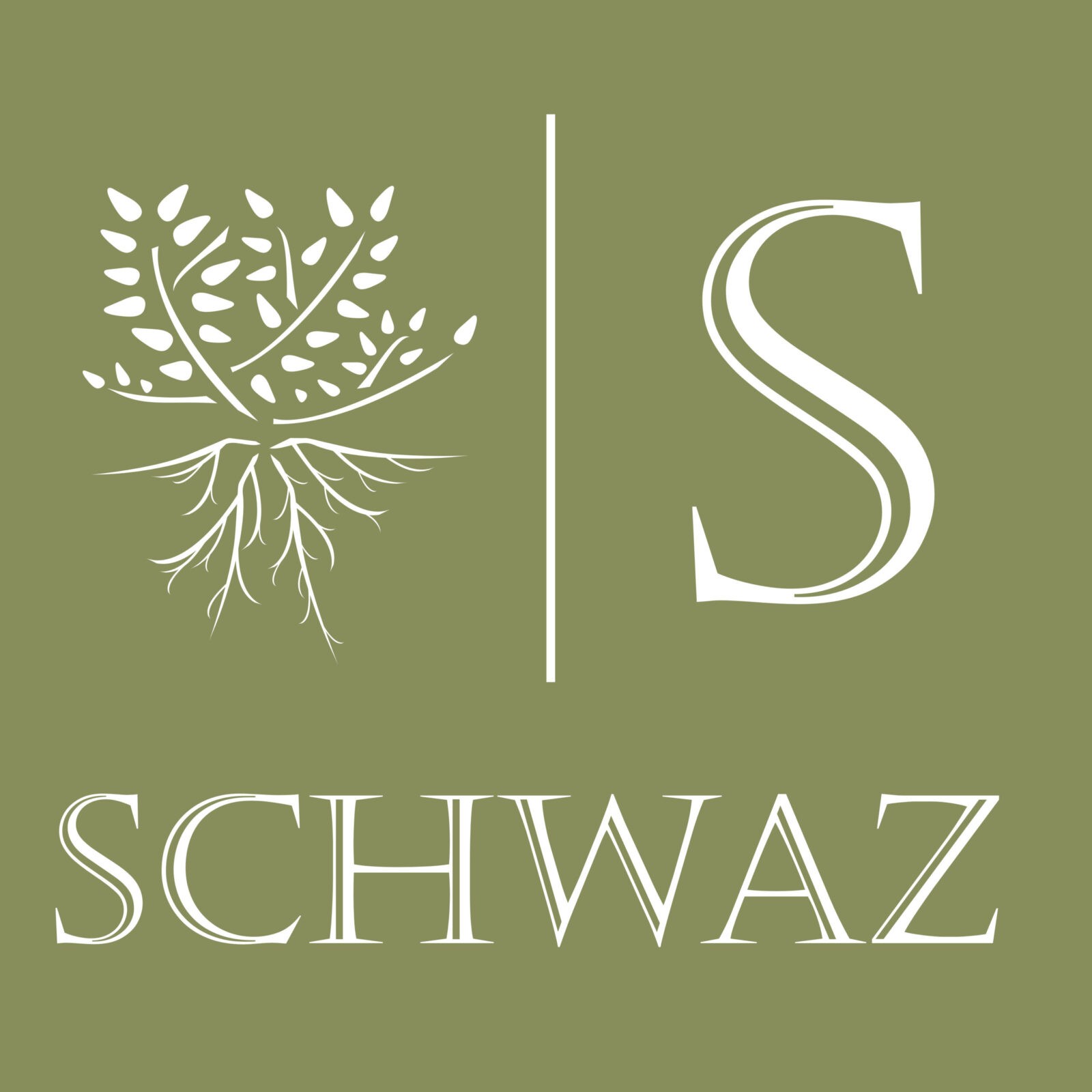 Schwaz Restaurant