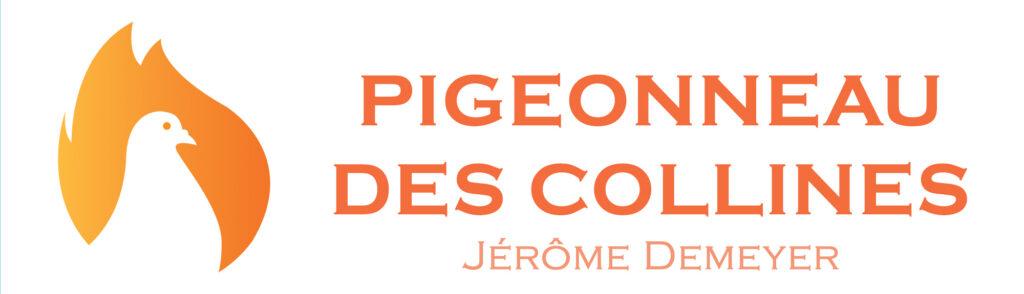 Pigeonneau des collines par Jérôme Demeyer