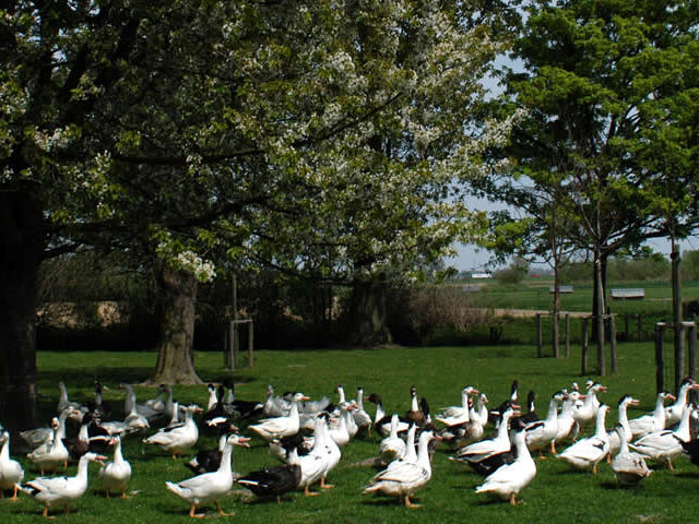 Ferme Louis Legrand