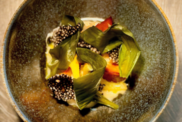 Des vins qui respirent — nos cavistes, nos complices